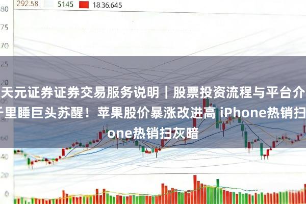 天元证券证券交易服务说明｜股票投资流程与平台介绍 千里睡巨头苏醒！苹果股价暴涨改进高 iPhone热销扫灰暗